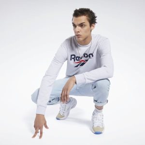 Bluza Męskie Reebok Classic Vector Crew Głęboka Szare PL 20YJNGI